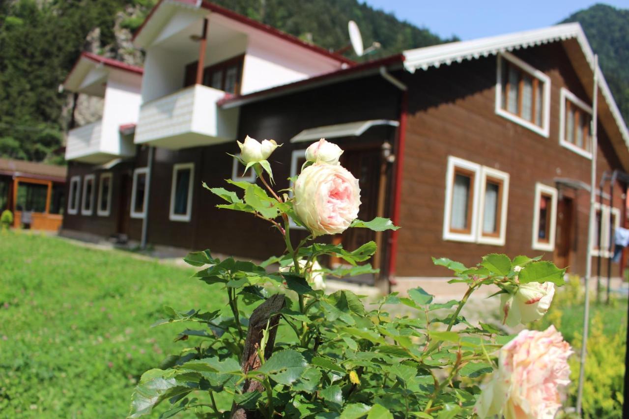 Uzungol Selale Otel Bungalow Buitenkant foto