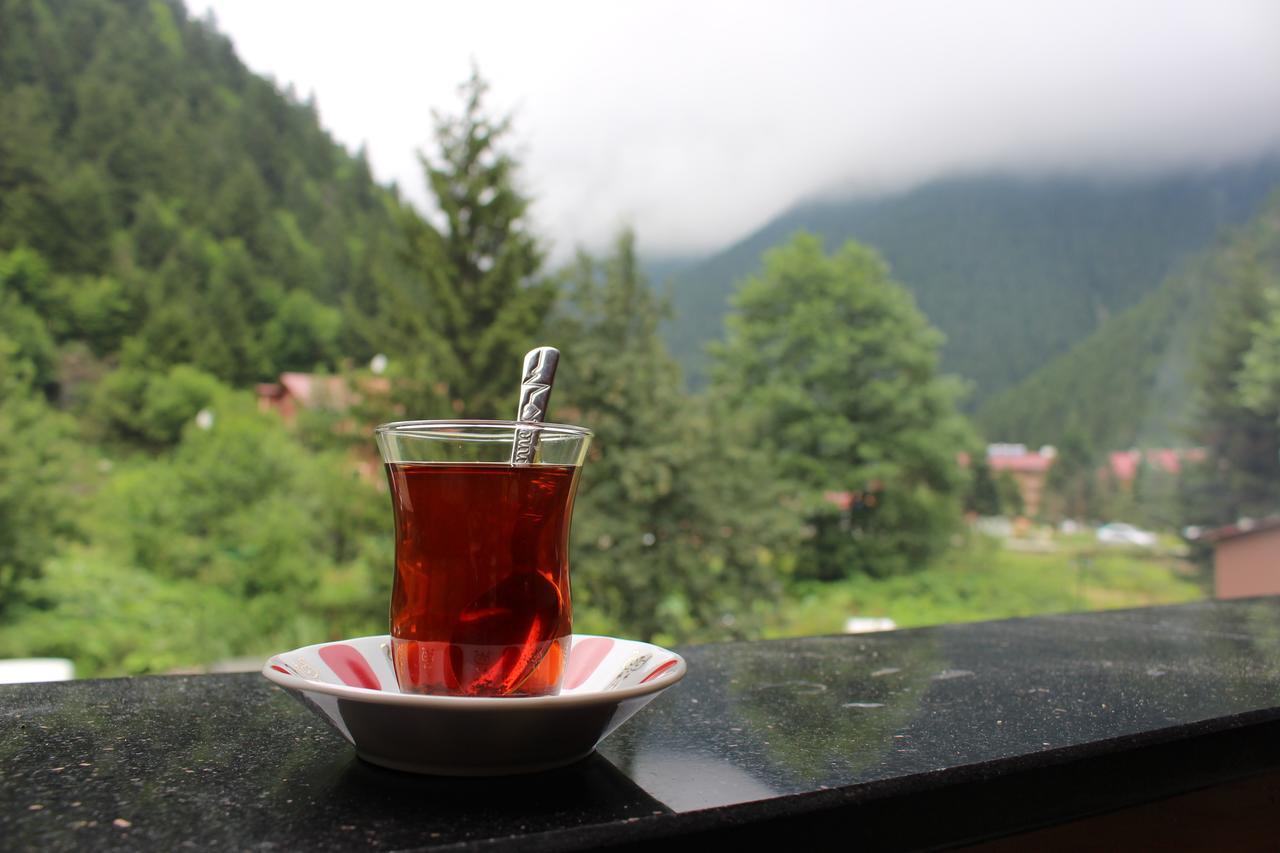 Uzungol Selale Otel Bungalow Buitenkant foto